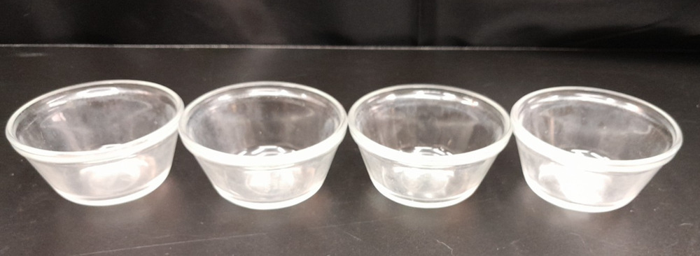 Custard Cup 6oz Clear Glass 1034 Set Of 4